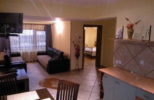 Sinaia Apartamento | Vila Dani