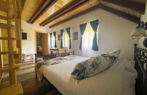 Petrovaradin Cama Y Desayuno | Vila Davidovic-Fruska gora