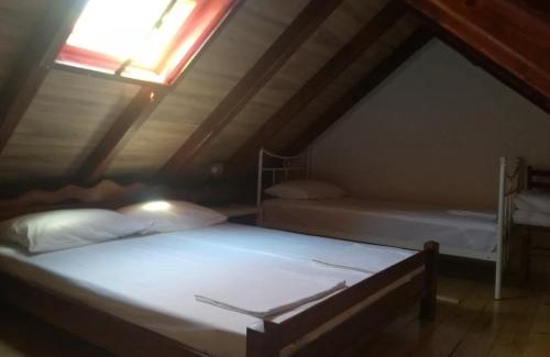 Petrovaradin Cama Y Desayuno | Vila Davidovic-Fruska gora