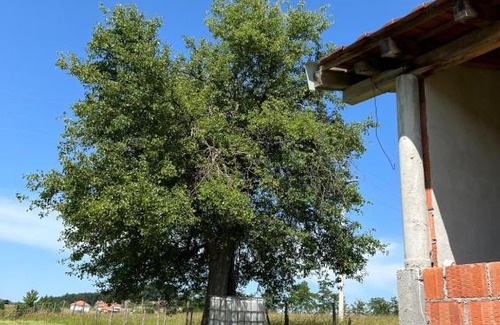 Central Serbia Casa | VILA DELT