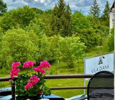 Poiana Brasov Casa | Vila Diana - Poiana Brasov with breakfast optional at hotel Simona Halep