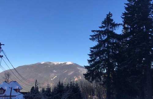 Predeal Villa | Vila Doru Predeal