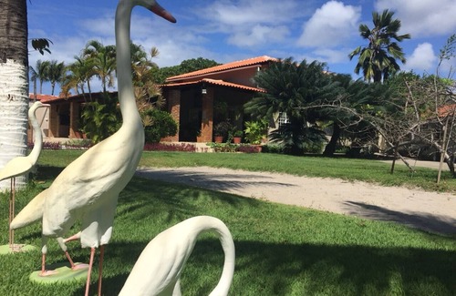 Centro Casa | Alquiler de habitaciones / Piso Compartido - Porto de Galinhas