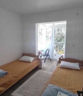 Gornja Trepca Apartamento | Vila Dusica