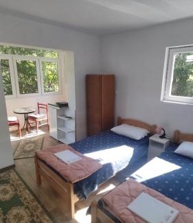 Gornja Trepca Apartamento | Vila Dusica