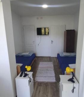 Gornja Trepca Apartamento | Vila Dusica