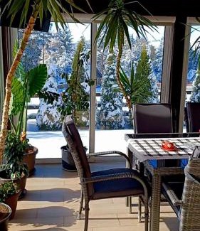 Zlatibor Apartamento | Vila Dzavric