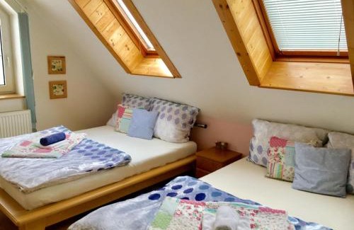 Trebon Apartamento | Vila EVIO Třeboň