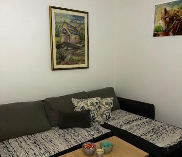 Petrovaradin Villa | Vila Fruškogorski Mir