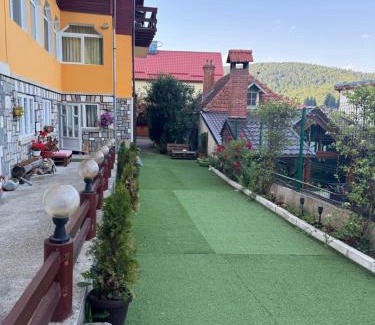 Busteni Cabina | Vila Gabi