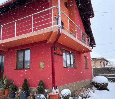 Zarnesti Casa | Vila Georgeta