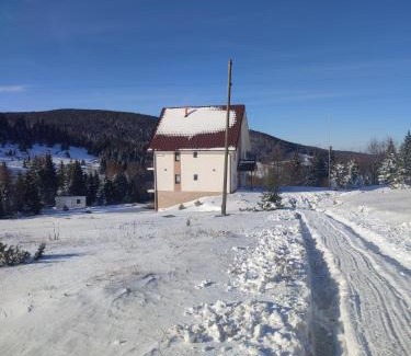 Central Serbia Apartamento | Vila Golijat
