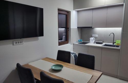 Central Serbia Apartamento | Vila Golijat