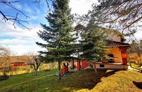 Petrovaradin Villa | Vila Gorocvet