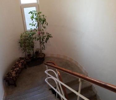 Niska Banja Apartamento | Vila I