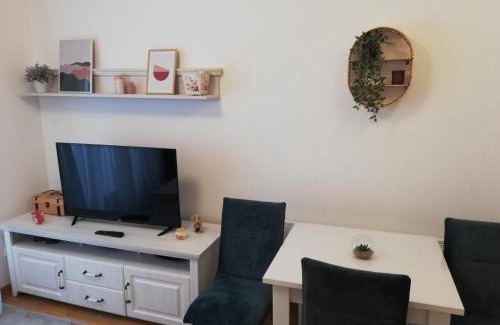 Kopaonik Apartamento | Vila Irina Kopaonik