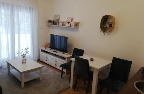 Kopaonik Apartamento | Vila Irina Kopaonik