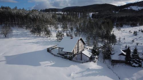 Zlatibor Casa | Vila Jela Tornik