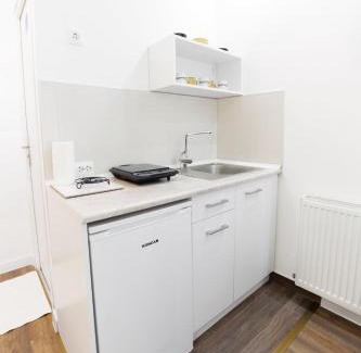 Soko Banja Apartamento | Vila Jevtić studio 3