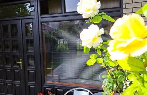 Soko Banja Apartamento | Vila Jevtić studio 3