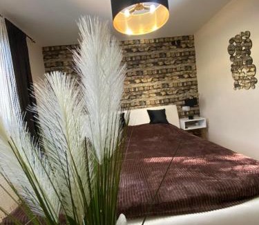 Bor Apartamento | Vila Jezerski raj Borsko jezero