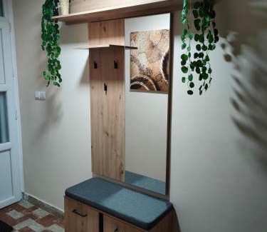 Bor Apartamento | Vila Jezerski raj Borsko jezero