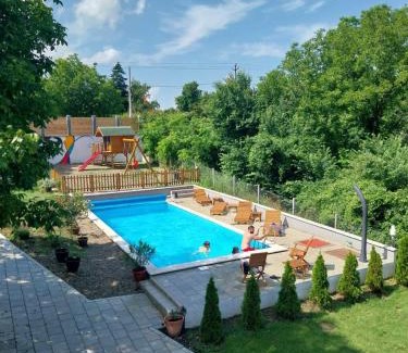 Petrovaradin Villa | Vila Kraljev Breg Fruška Gora Pool and Padel
