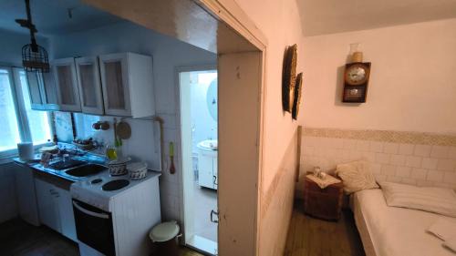Stara Planina Casa | Vila Kruna