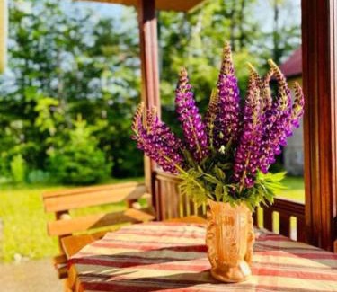 Central Serbia Casa | Vila Krunica