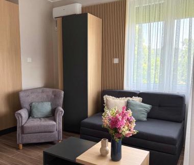 Vrdnik Apartamento | Vila Lena Pool Resort - Studio 6