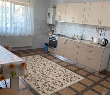 Vaslui Apartamento | Vila Lory