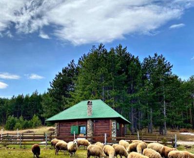 Zlatibor Casa | Vila Mali Tornik