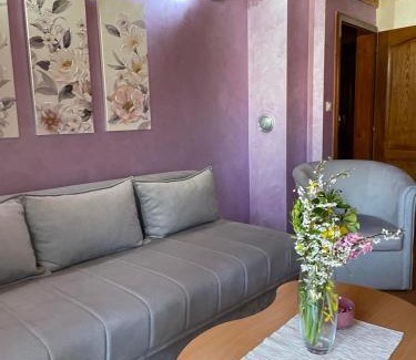 Mitrovac Apartamento | Vila Malisevac