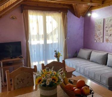 Mitrovac Apartamento | Vila Malisevac