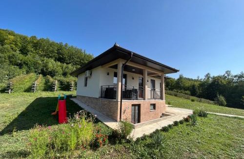 Central Serbia Villa | Vila Mana
