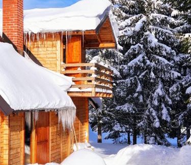 Central Serbia Villa | Vila Milica - Golija
