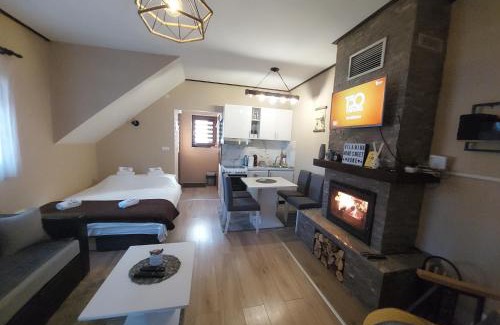 Kremna Villa | Vila MINA