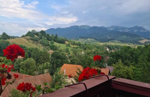 Bran Casa | Vila Muntii Bucegi & SPA
