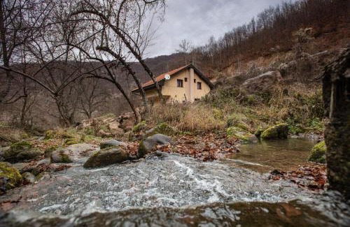 Stara Planina Casa | Vila Nada