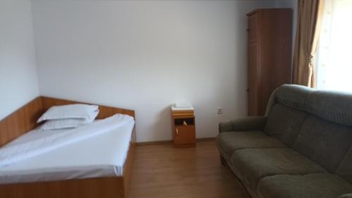 Oestii Paminteni Casa | Vila Nadia