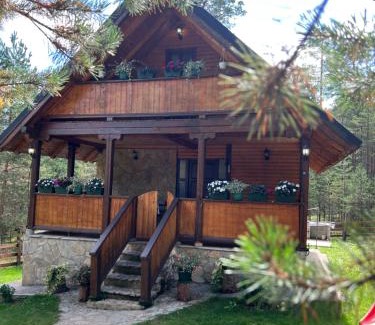 Zlatibor Villa | Vila Natasa