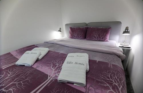 Stara Planina Apartamento | Vila Nemir Zavojsko jezero