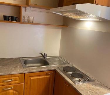 Olomouc Apartamento | Vila Olomouc