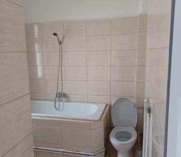 Predeal Cabina | Vila Oltețul
