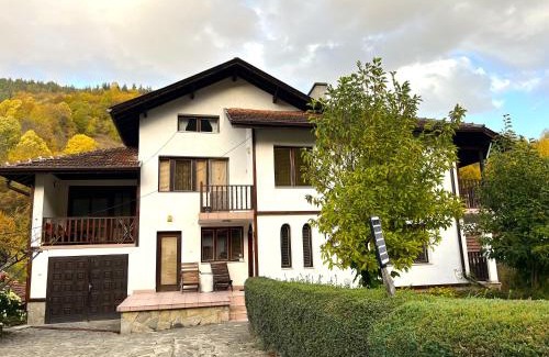 Ribaritsa Casa | Vila Omainiche Ribarica