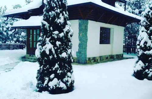 Zlatibor Villa | Vila Panić Zlatibor