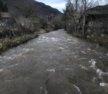Stara Planina Casa | Vila Panic