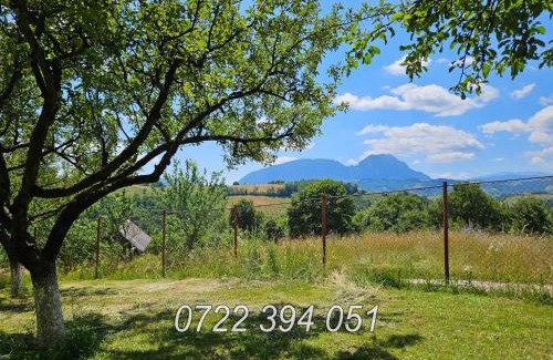 Poiana Marului Casa | Vila pe deal in Poiana Marului