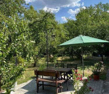 Dimitrovgrad Villa | Vila Petrov