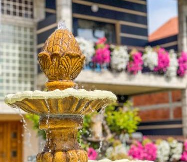 Sjenica Apartamento | Vila Petunija